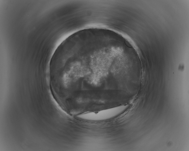 X0000094351295200711301353
