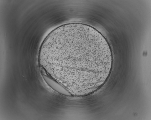 X0000094351296200711301353