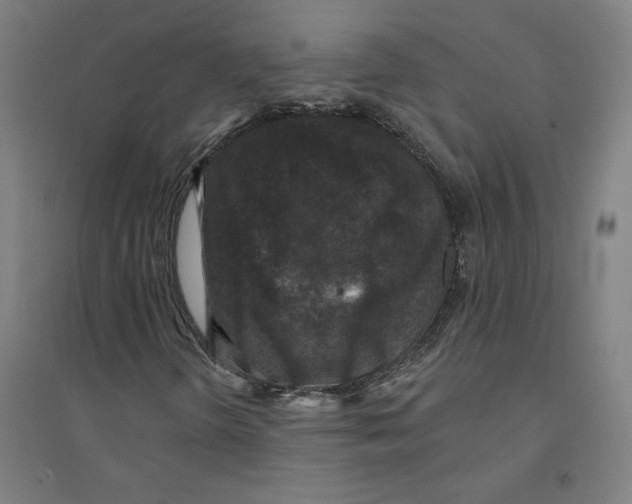 X0000094351298200711301352