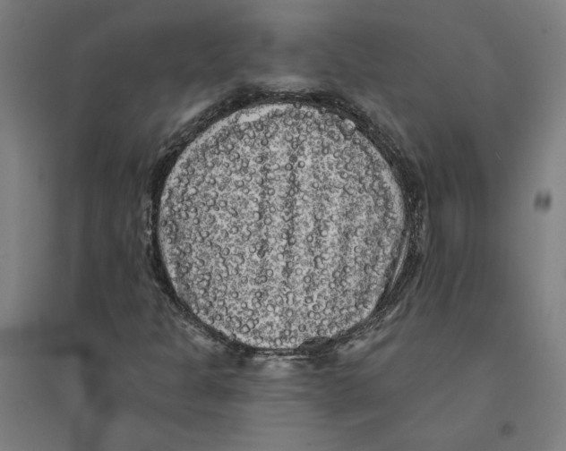 X0000094351301200711301352