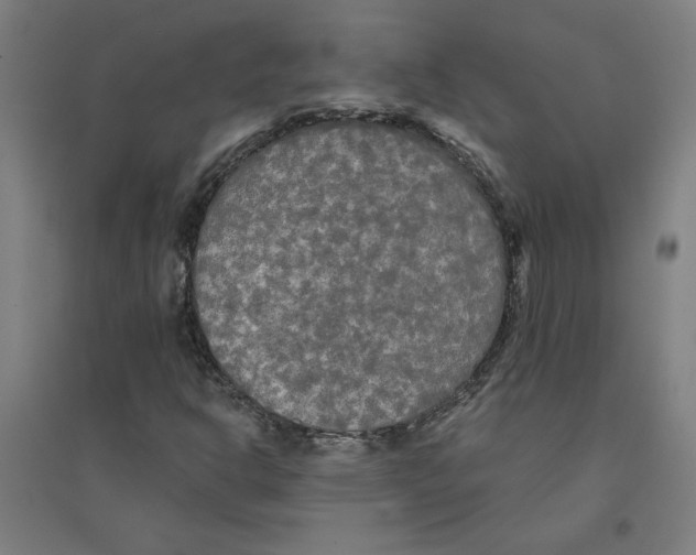 X0000094351302200711301352