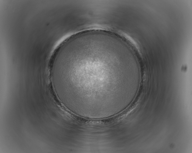 X0000094351310200711301352