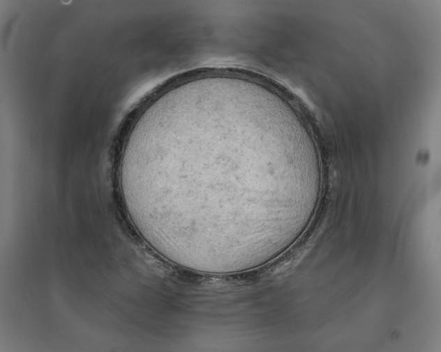 X0000094351311200711301352
