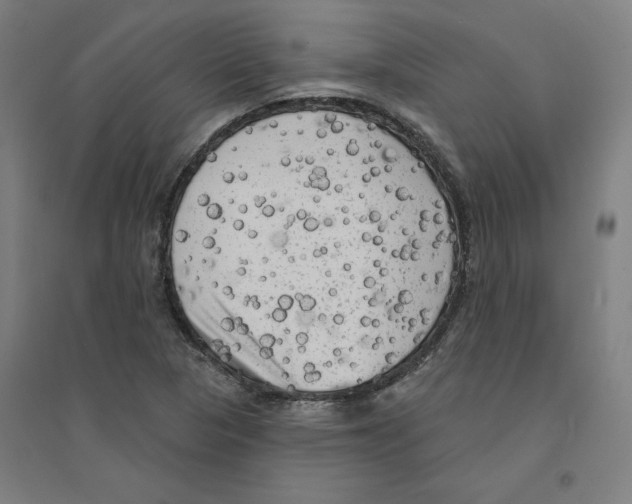 X0000094351313200711301352