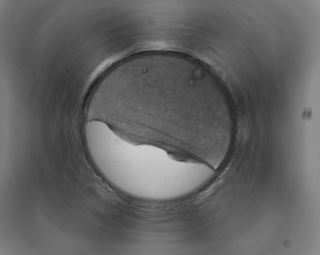X0000094351314200711301352
