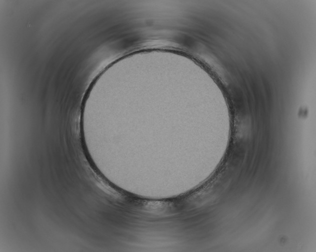 X0000094351322200711301352