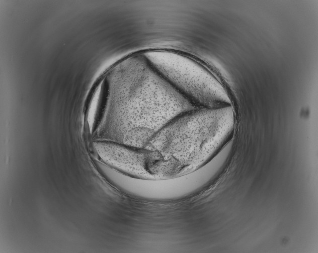 X0000094351324200711301352