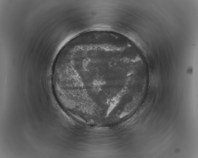 X0000094351325200711301352