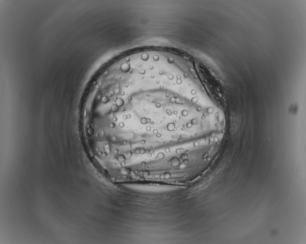 X0000094351326200711301352