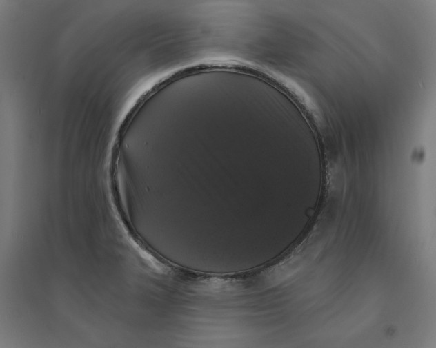 X0000094351327200711301352
