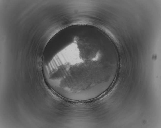 X0000094351329200711301352