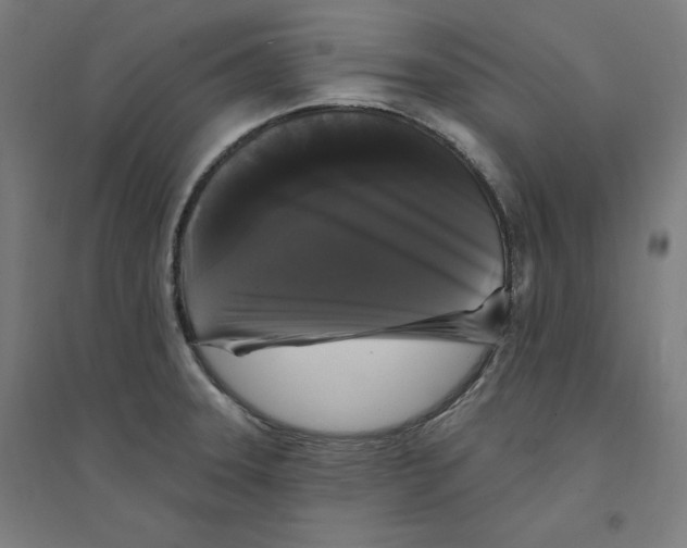 X0000094351331200711301352