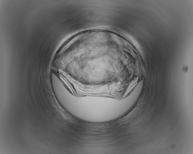 X0000094351332200711301352