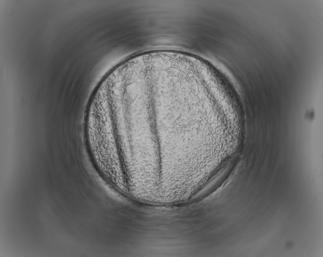 X0000094351333200711301352