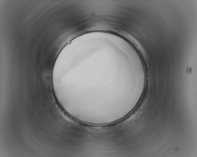 X0000094351337200711301352
