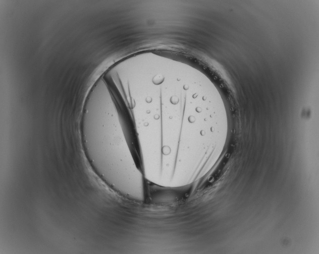 X0000094351338200711301352