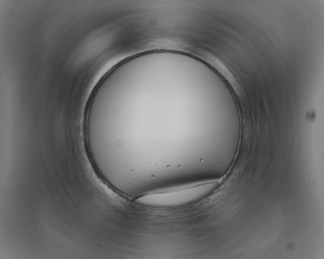 X0000094351339200711301352