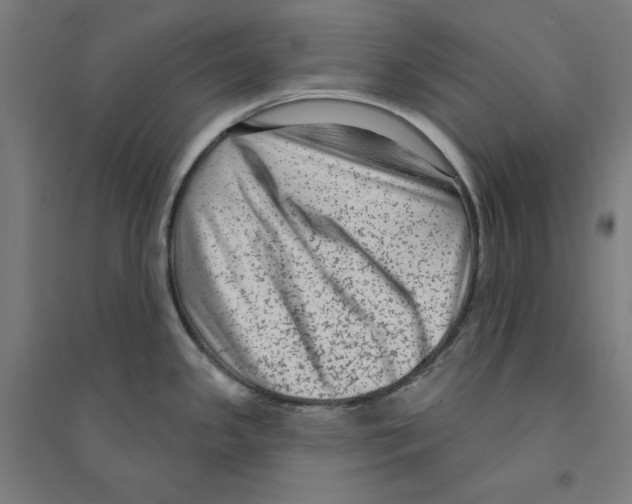 X0000094351341200711301353