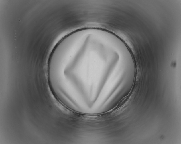 X0000094351342200711301353