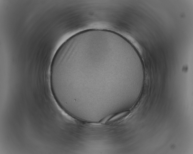 X0000094351343200711301353