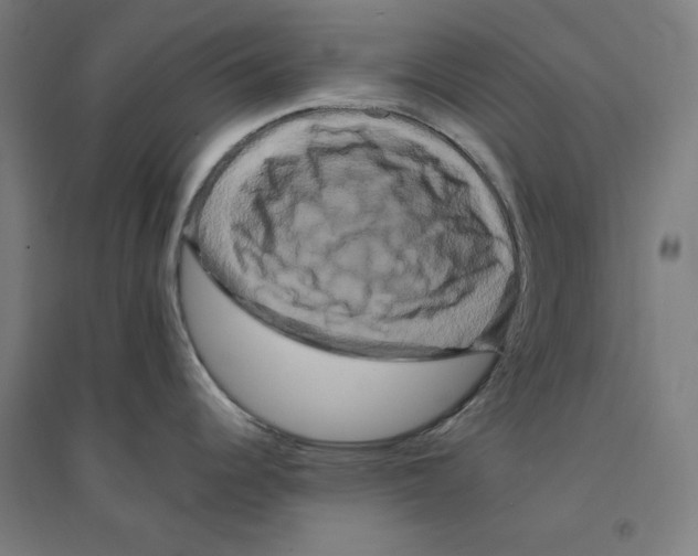 X0000094351344200711301353