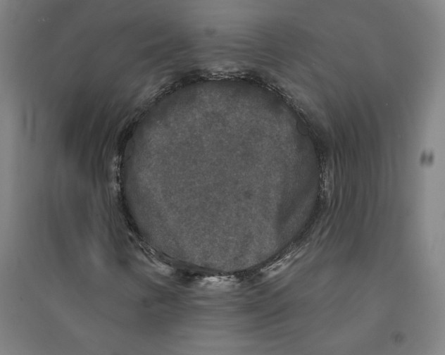 X0000094351346200711301352