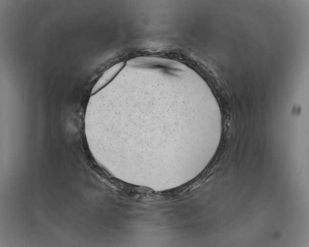 X0000094351349200711301352