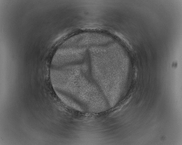X0000094351350200711301352