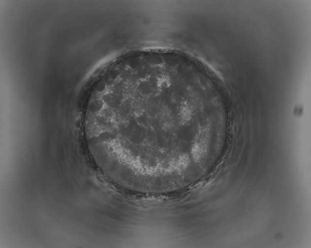 X0000094351351200711301352