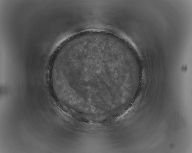 X0000094351352200711301352