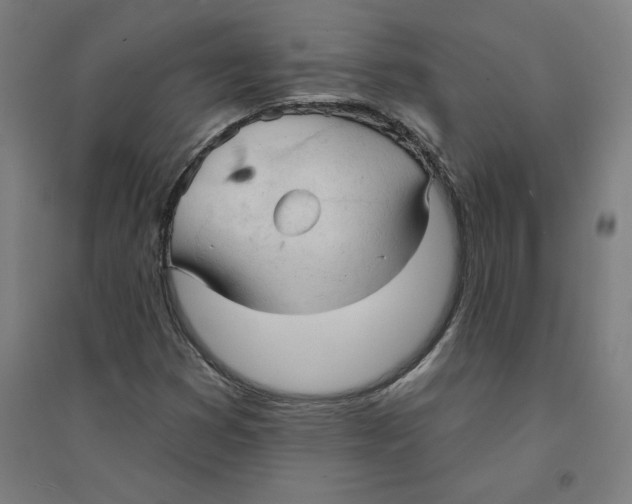 X0000094351353200711301352
