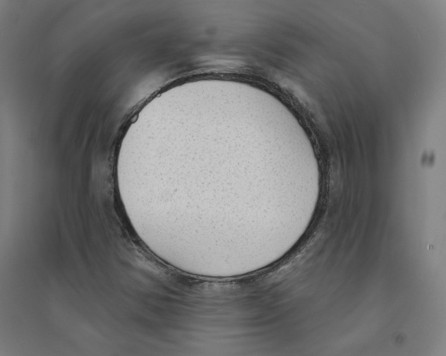 X0000094351354200711301352