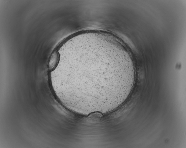 X0000094351356200711301352