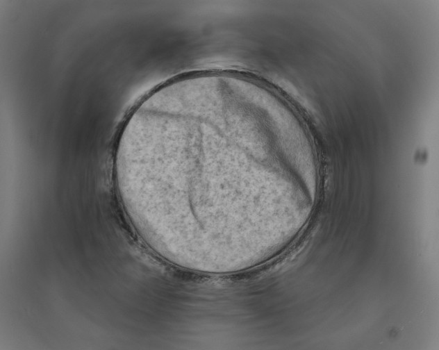 X0000094351358200711301352