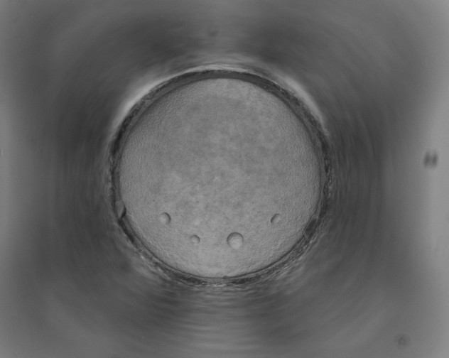 X0000094351360200711301352