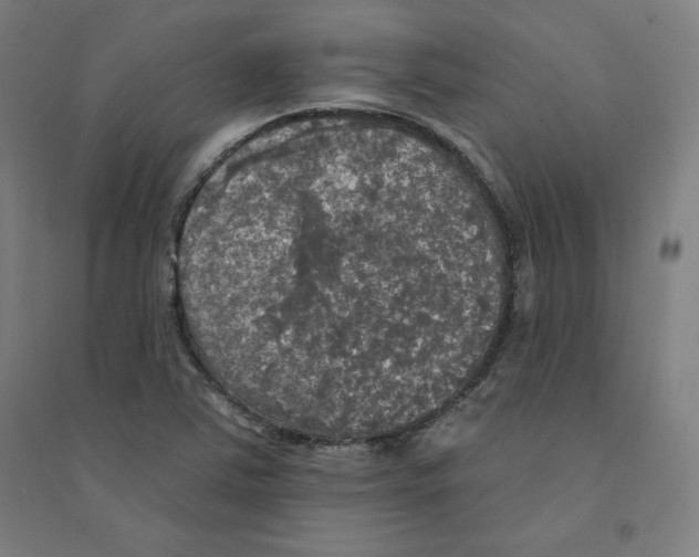 X0000094351363200711301351