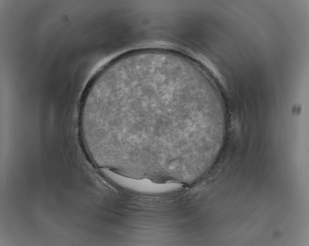 X0000094351364200711301351