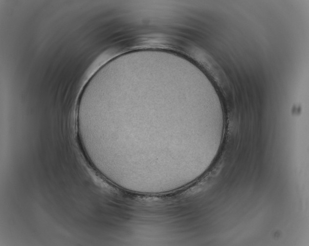 X0000094351370200711301351
