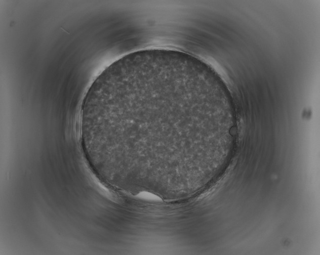 X0000094351371200711301351