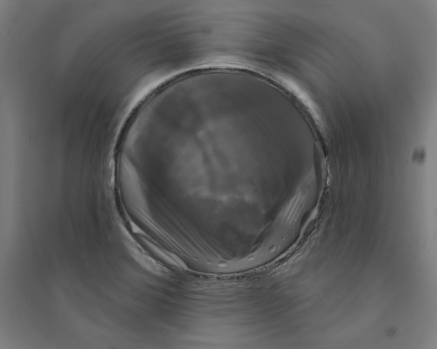X0000094351372200711301351