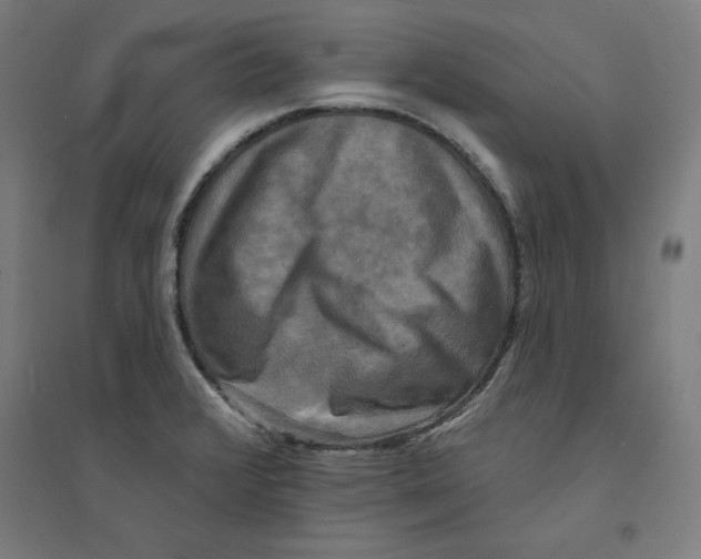 X0000094351376200711301351