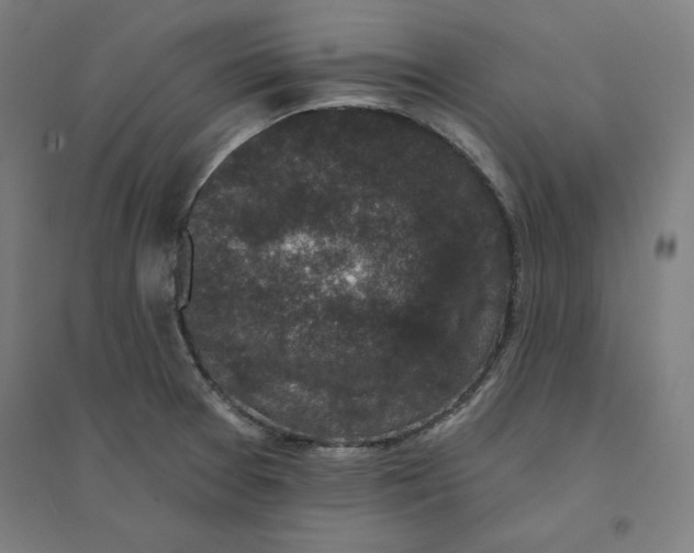 X0000094351377200711301351
