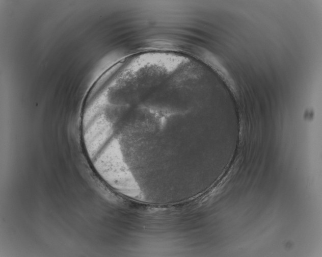 X0000094351378200711301351