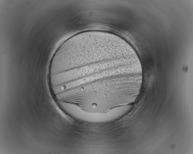 X0000094351379200711301351