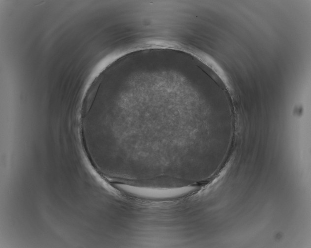 X0000094351381200711301351