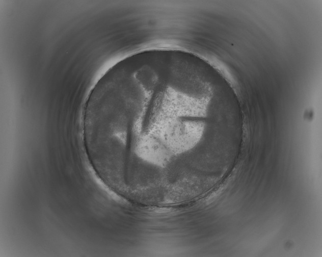X0000094351382200711301351