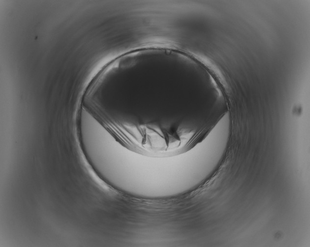 X0000094351383200711301351