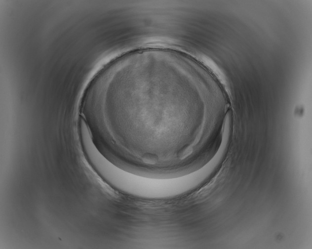 X0000094351384200711301351