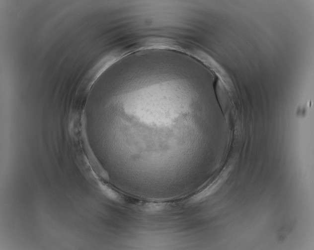 X0000094351385200711301351