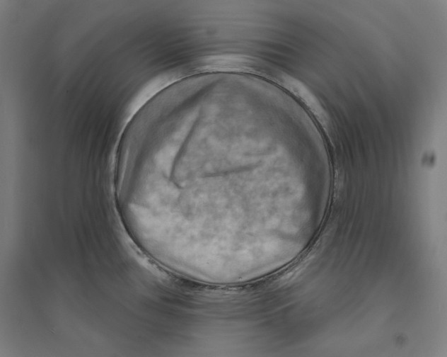 X0000094351386200711301351